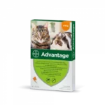 Advantage